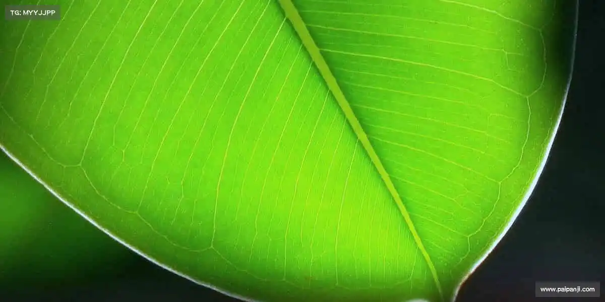 <strong>milan米兰</strong>汗水铸就荣耀，拼搏成就梦想！✨